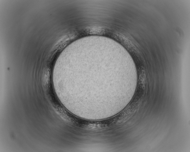 X0000112210744200909181553