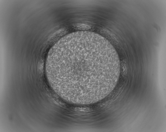 X0000112210745200909181553