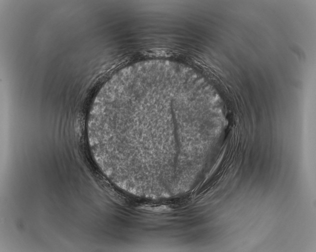 X0000112210747200909181553