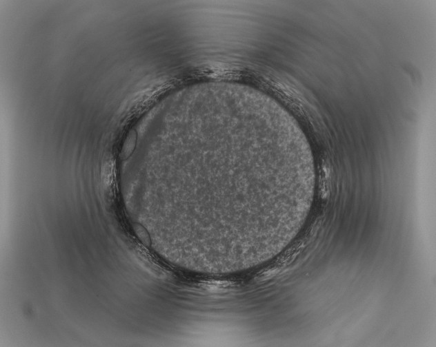 X0000112210748200909181553