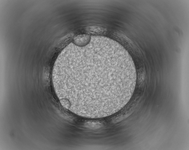 X0000112210749200909181553