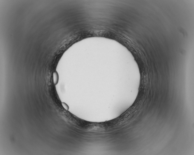 X0000112210750200909181553