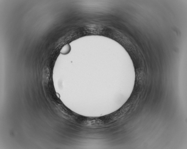 X0000112210752200909181553