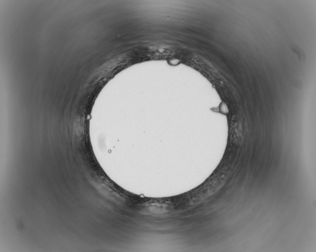 X0000112210756200909181553