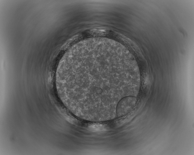 X0000112210759200909181553