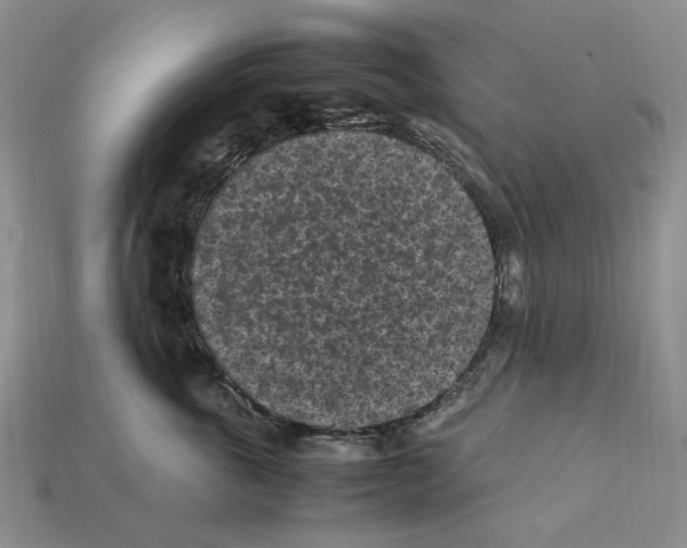 X0000112210763200909181553