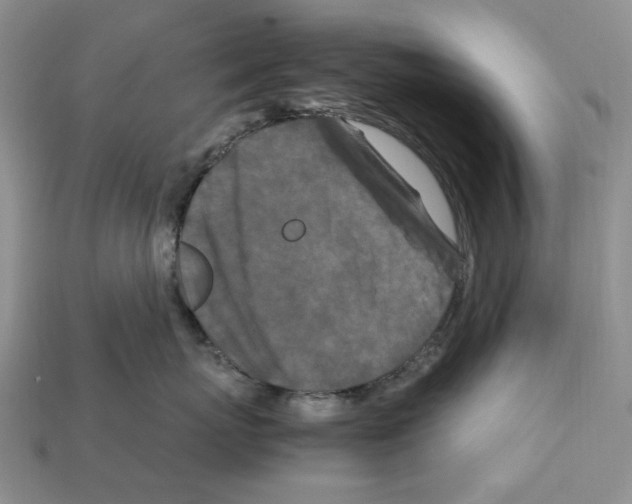 X0000112210767200909181553