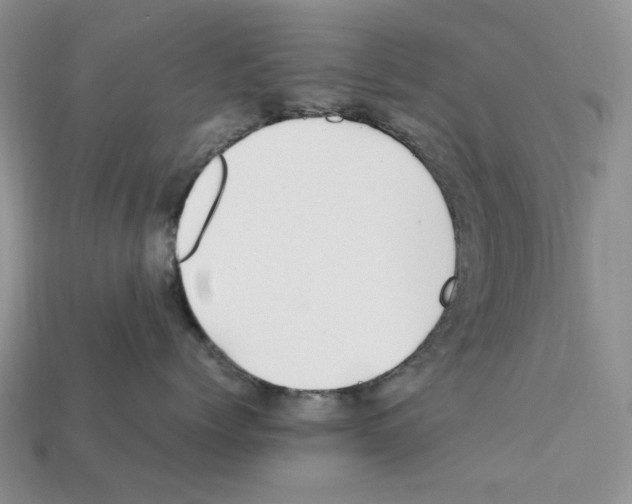 X0000112210768200909181553