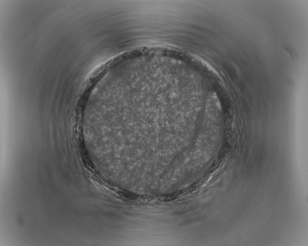 X0000112210775200909181553