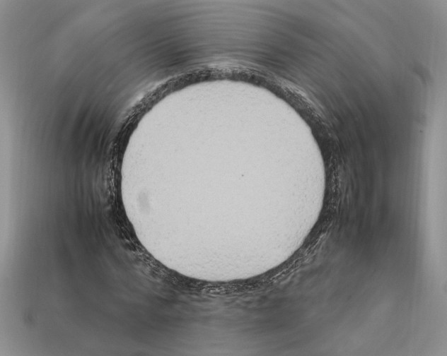 X0000112210776200909181553