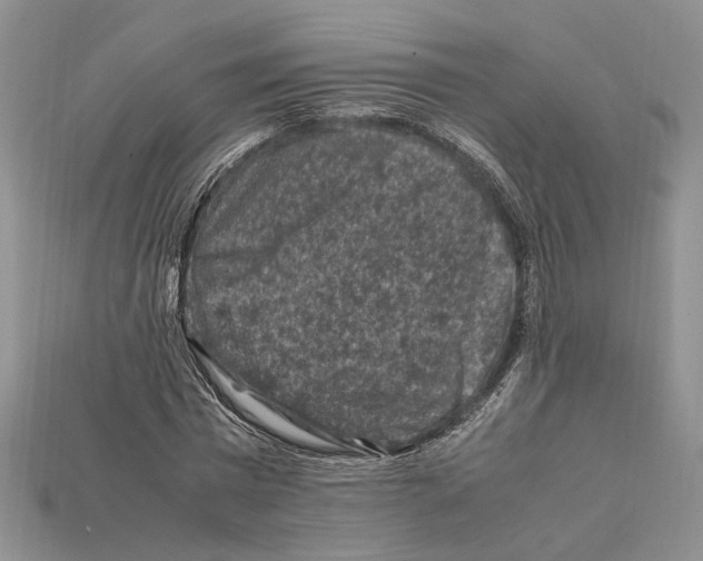 X0000112210777200909181553
