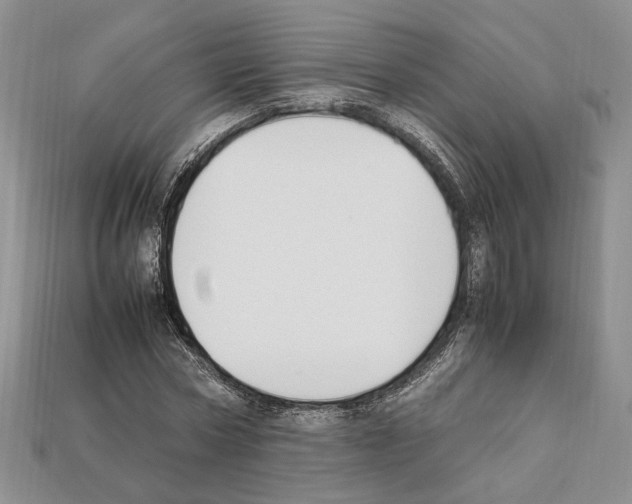 X0000112210778200909181553