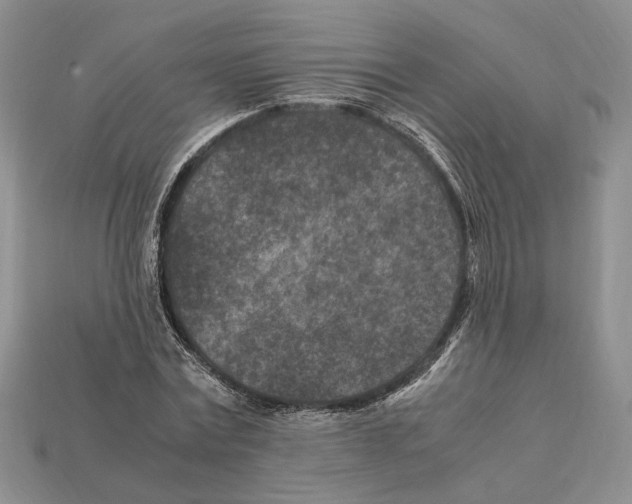 X0000112210779200909181553