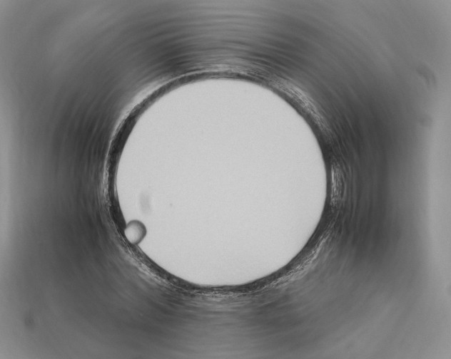 X0000112210780200909181553