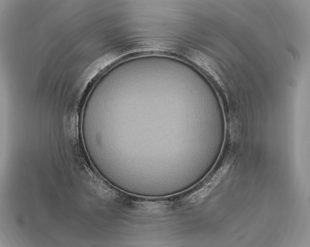 X0000112210781200909181553