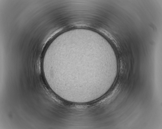 X0000112210782200909181553