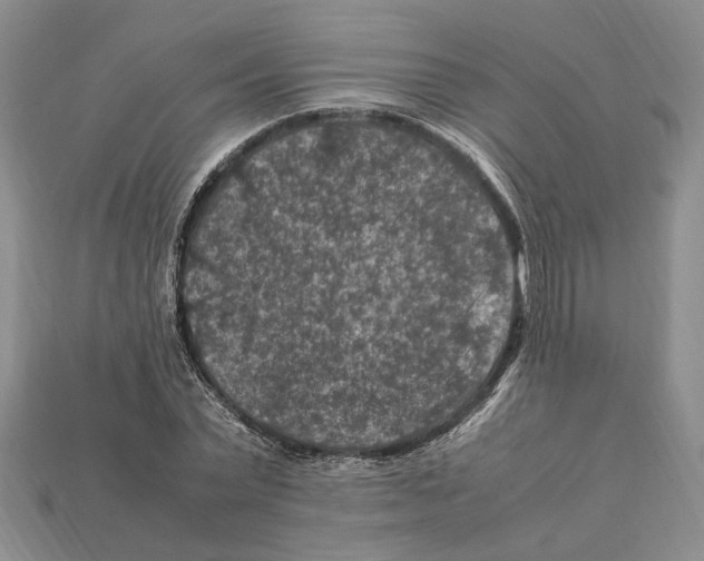 X0000112210783200909181553