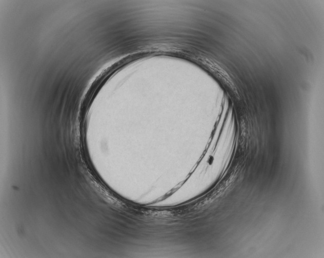 X0000112210784200909181553