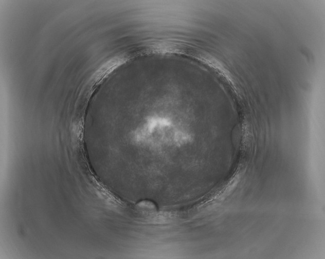 X0000112210785200909181553