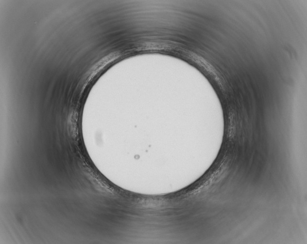 X0000112210786200909181553