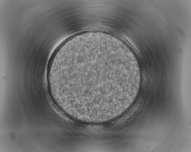 X0000112210788200909181553