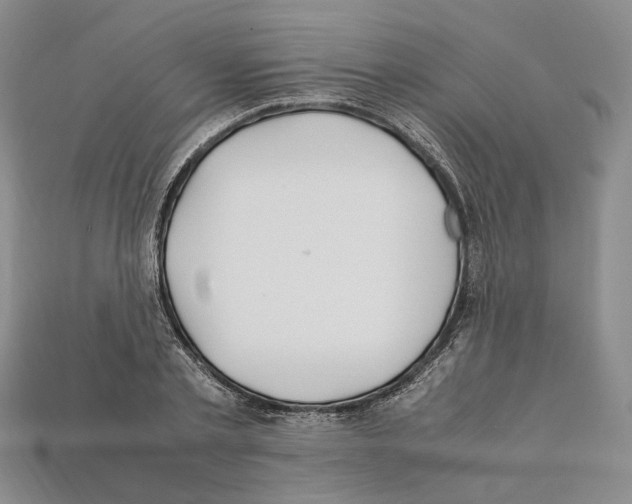 X0000112210789200909181553