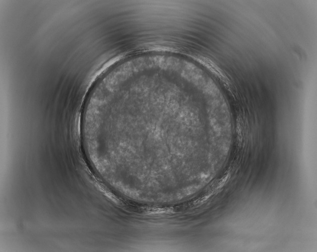 X0000112210790200909181553