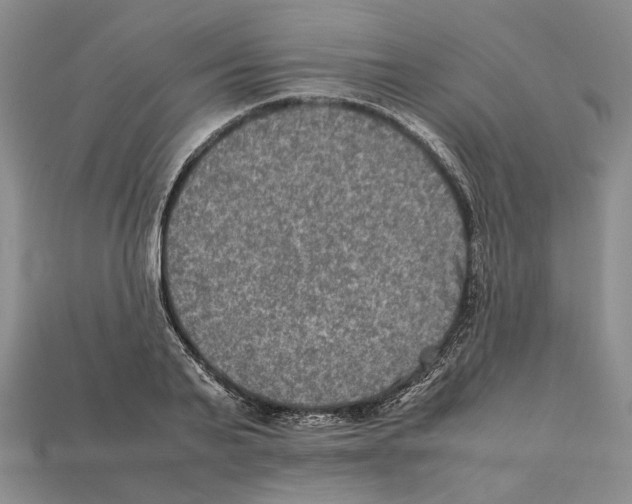 X0000112210791200909181553