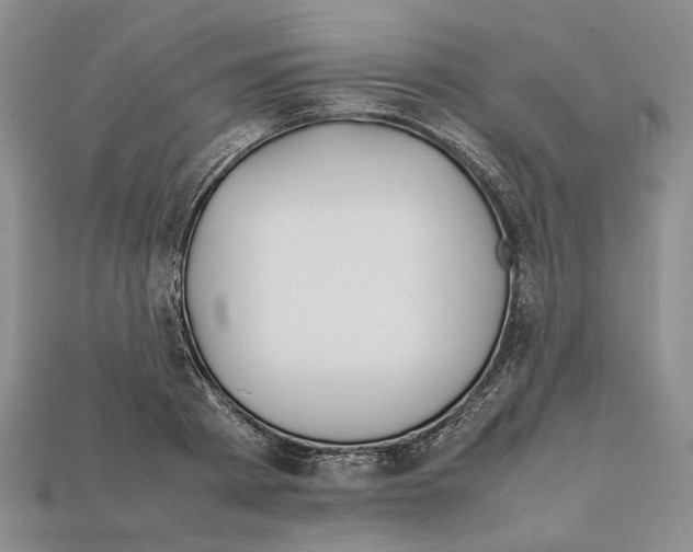 X0000112210793200909181553