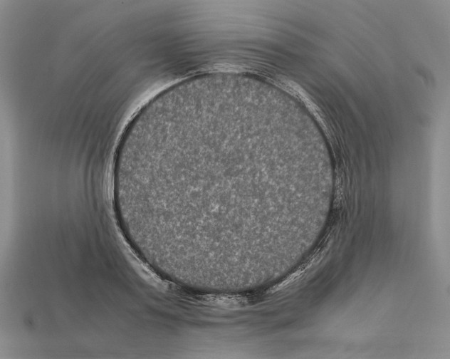 X0000112210795200909181553