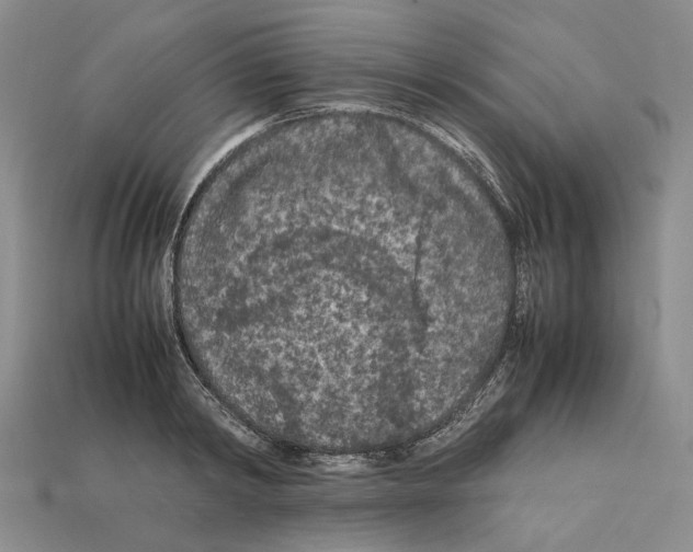 X0000112210798200909181552