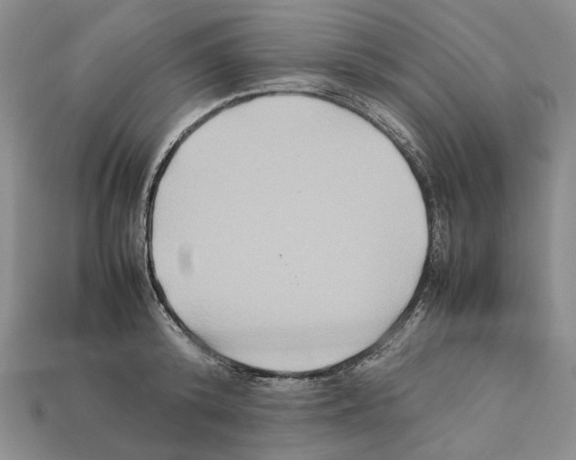 X0000112210800200909181552