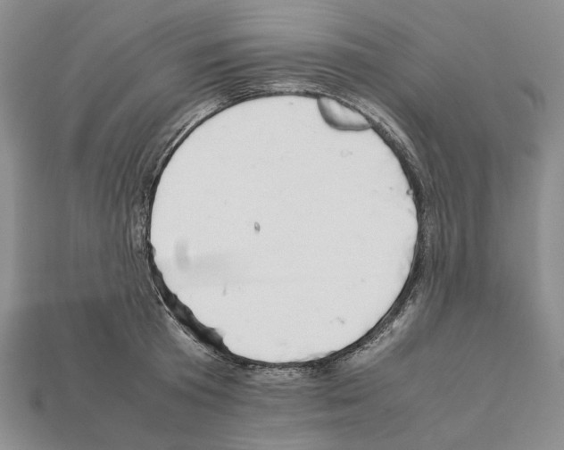 X0000112210801200909181552