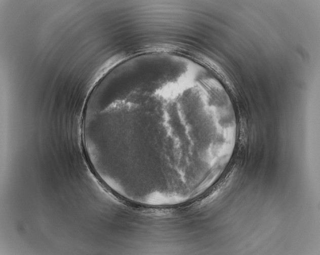 X0000112210802200909181552