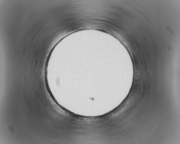 X0000112210803200909181552