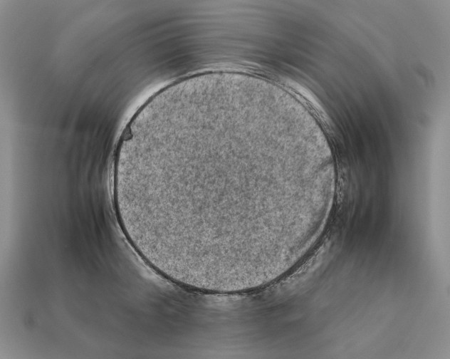X0000112210804200909181552