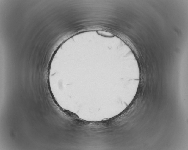 X0000112210805200909181552
