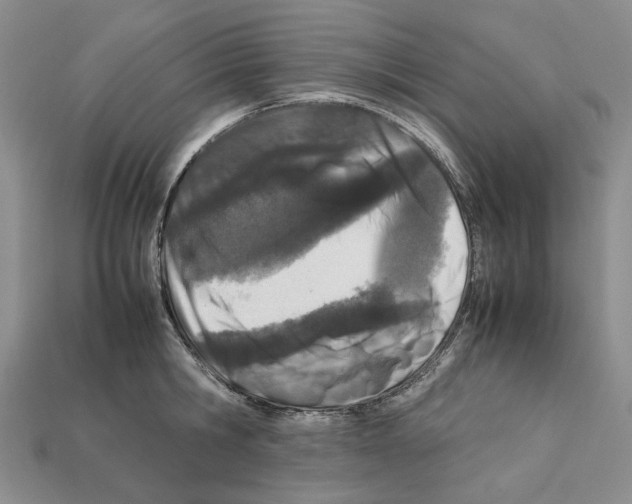 X0000112210806200909181552
