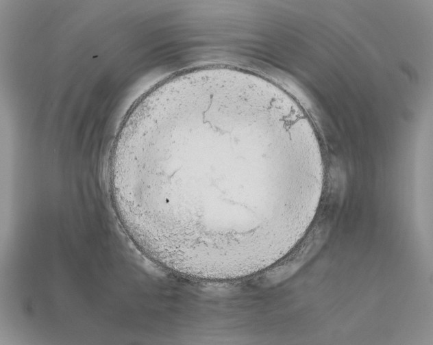 X0000112210807200909181552