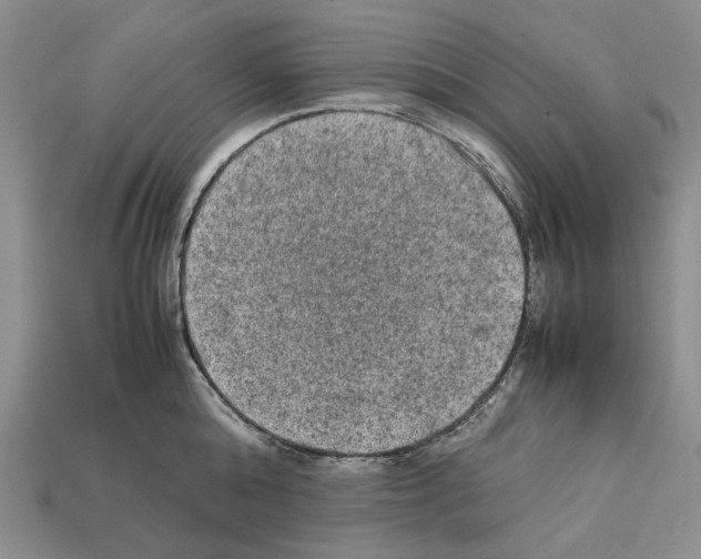 X0000112210808200909181552