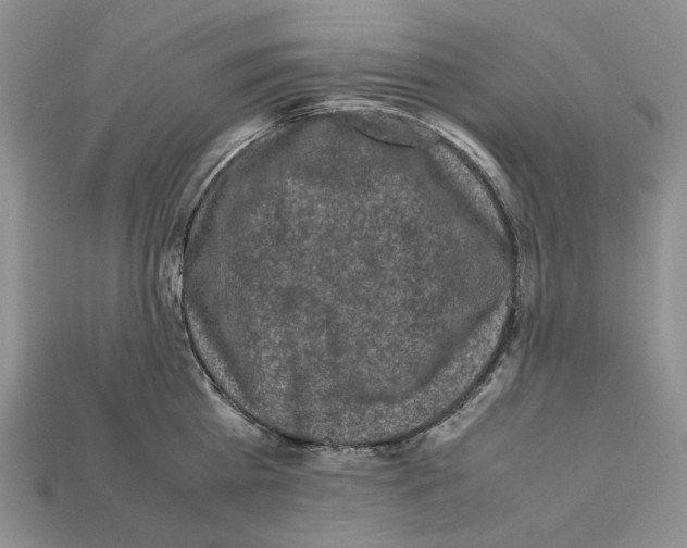X0000112210809200909181552