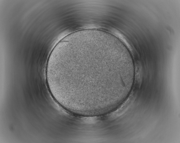 X0000112210810200909181552