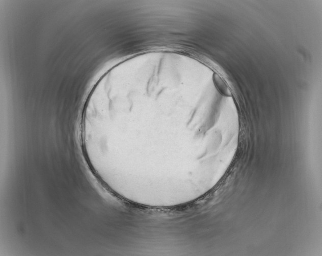 X0000112210811200909181552