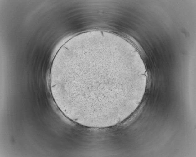 X0000112210812200909181552