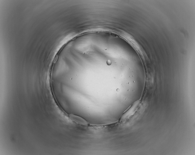 X0000112210813200909181552