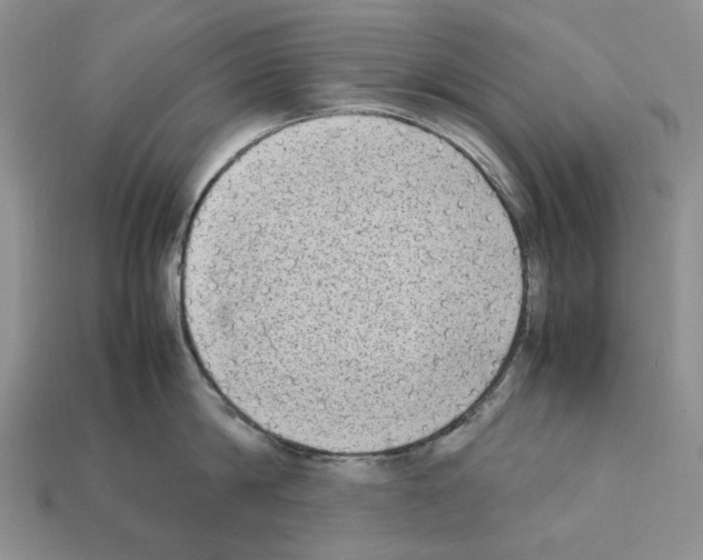 X0000112210814200909181552