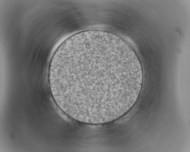 X0000112210816200909181552