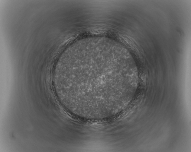 X0000112210817200909181552