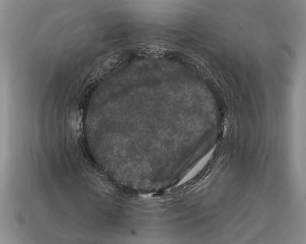 X0000112210818200909181552