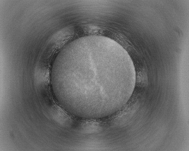 X0000112210820200909181552